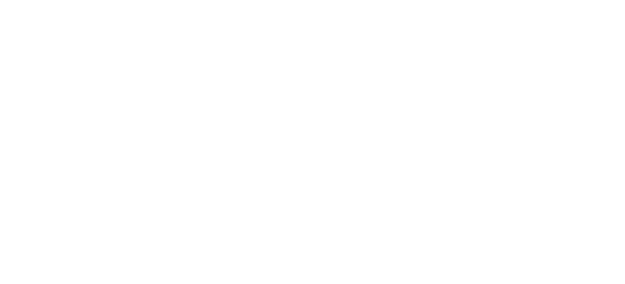 Terrazas Andes logo
